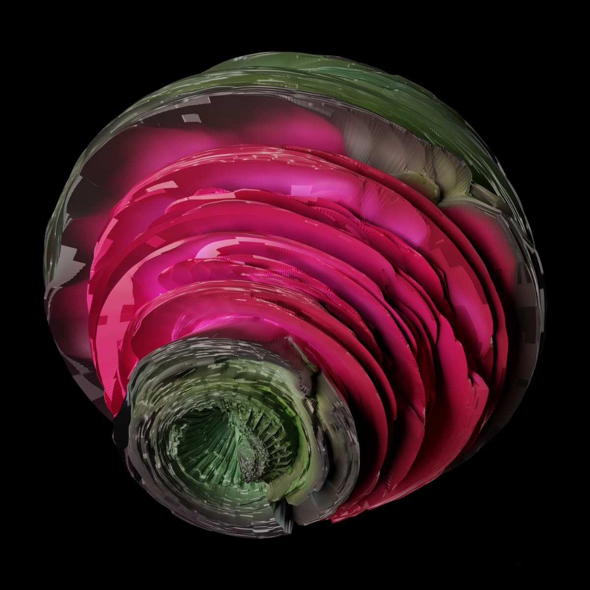 Brassica Oleracea