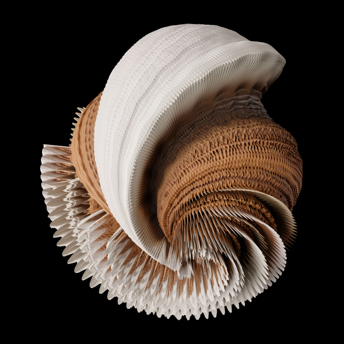 Daedalea Quercina