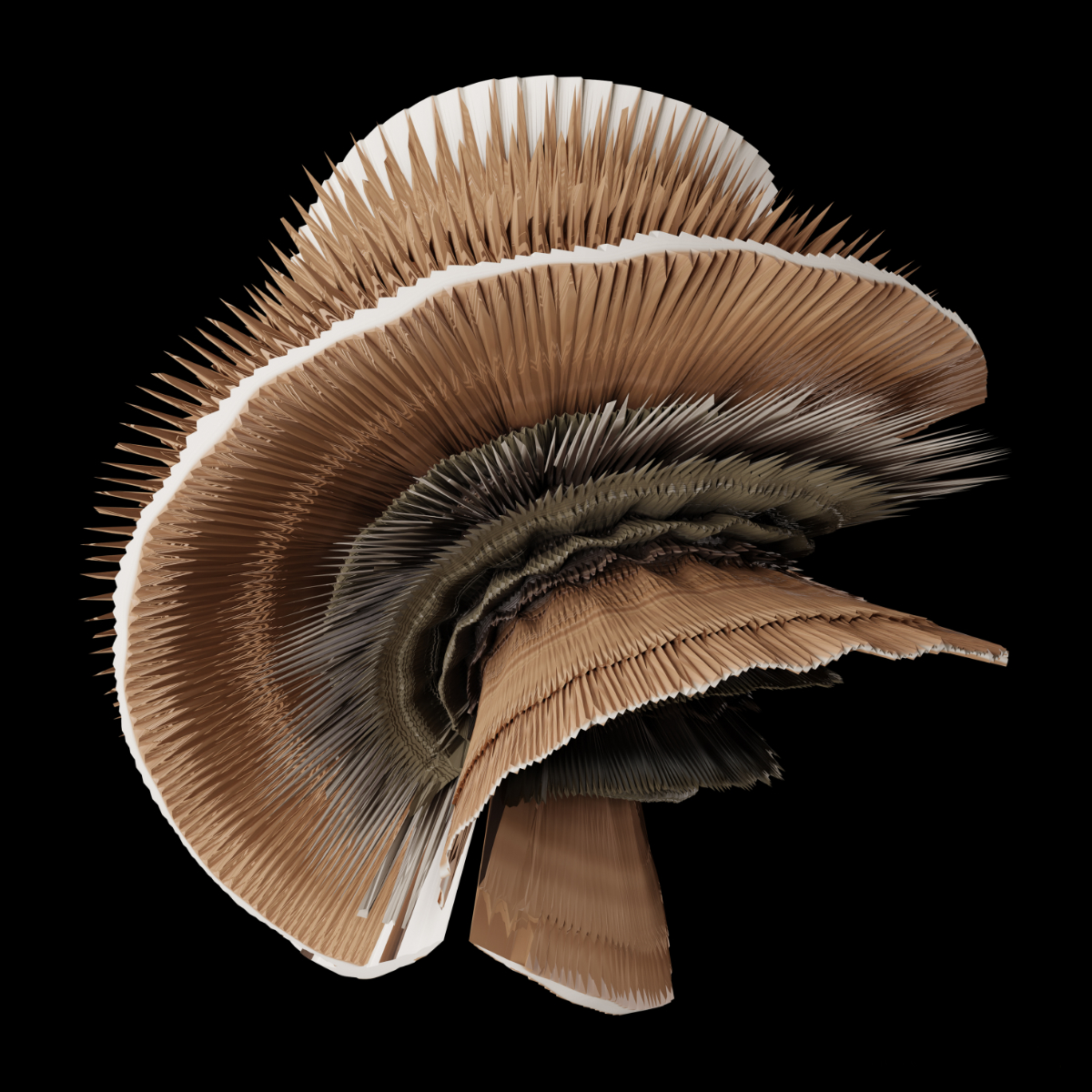Trametes Versicolor