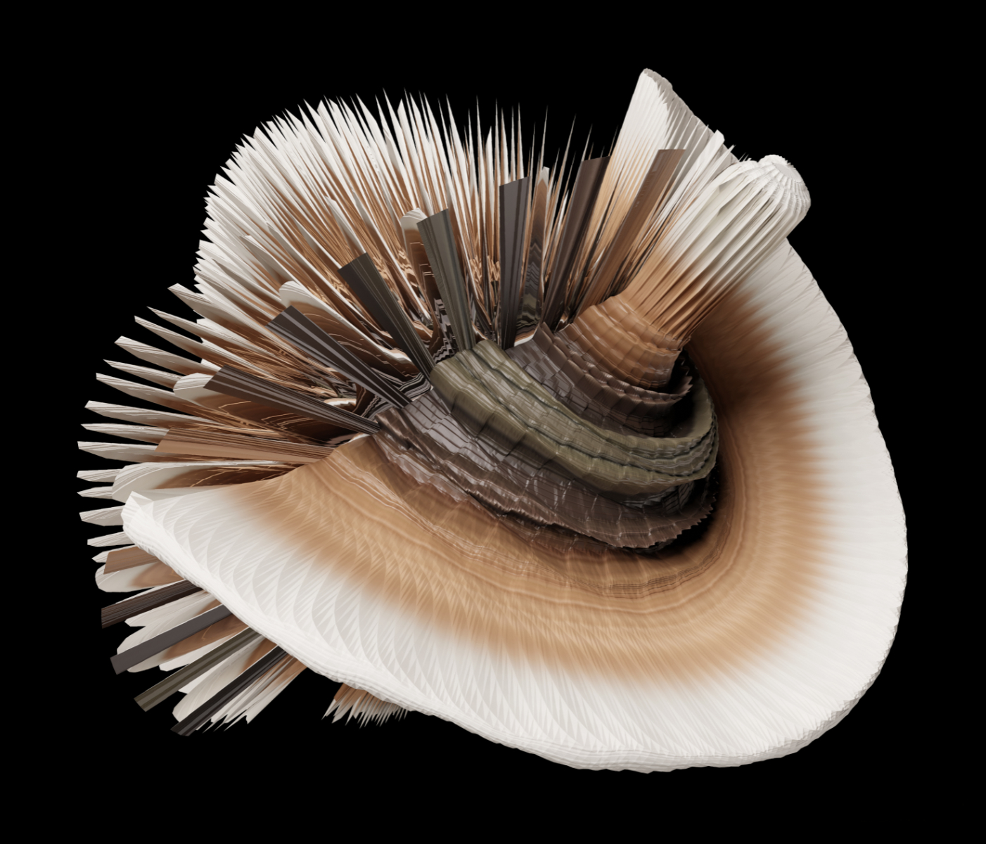 Aporrhais