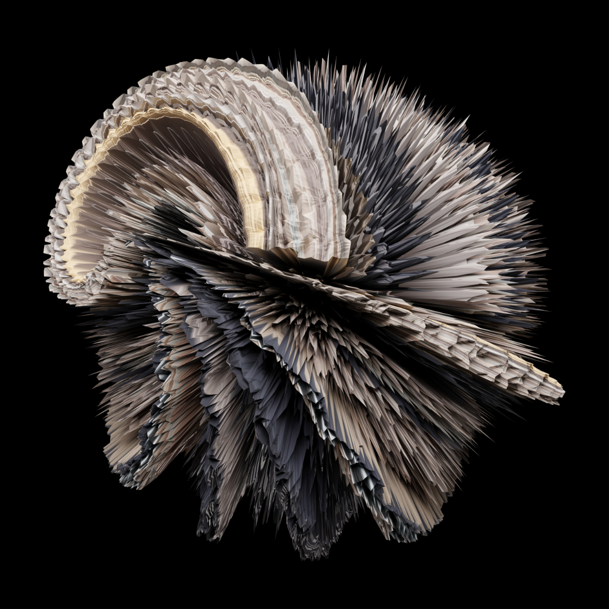 Argonautidae